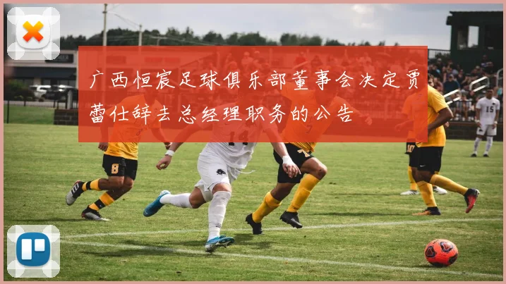 广西恒宸足球俱乐部董事会决定贾蕾仕辞去总经理职务的公告